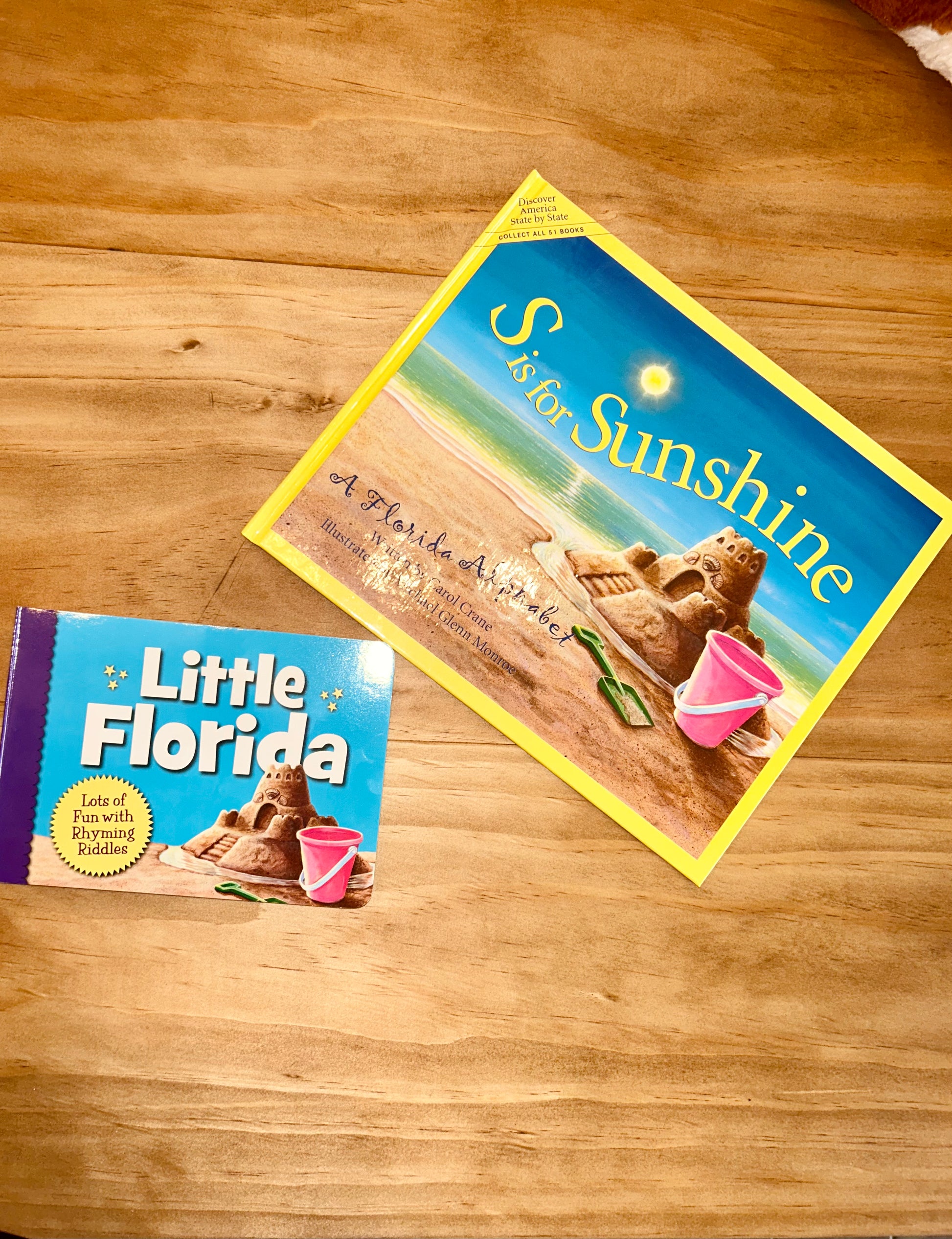 Children's book titled: A FLORIDA Alphabet: S is for Sunshine beside a second book, Little Florida. - RiverRiseCattleCo