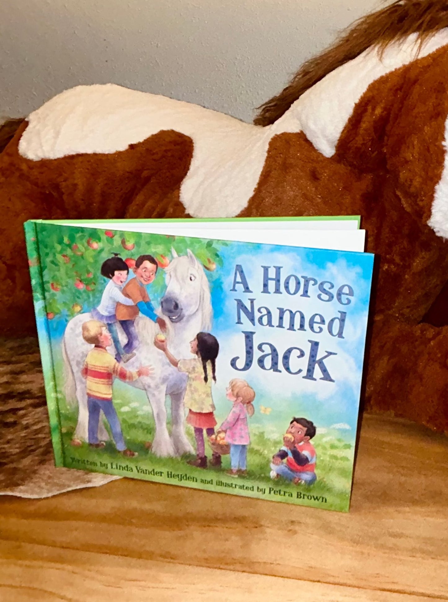 Children's book titled: A Horse Named Jack - RiverRiseCattleCo